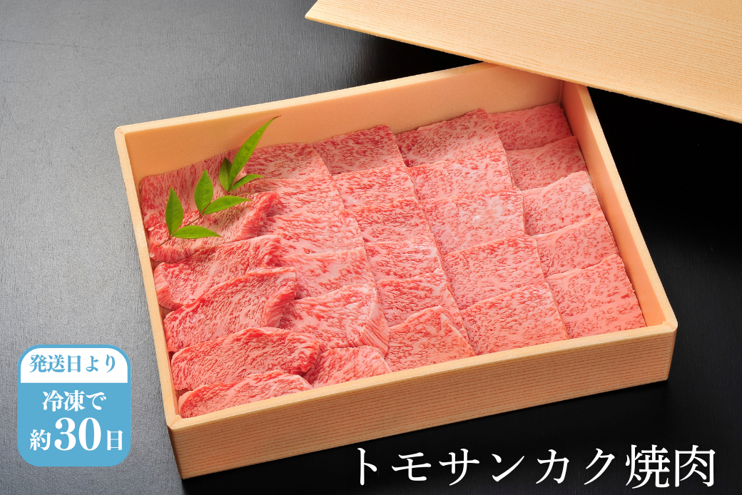 佐賀牛トモサンカク焼肉 500g 赤身 佐賀県産 黒毛和牛 佐賀牛 ブランド牛 国産 肉 牛肉 焼肉：B360-007