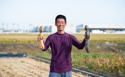 うんっま！！佐賀れんこん 4kg：B185-002