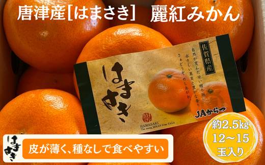 【先行予約】佐賀みかん 唐津産【はまさき】麗紅みかん：B210-021