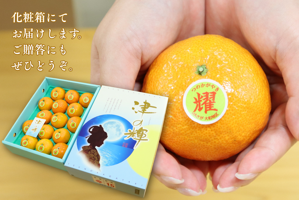 【12月～2月上旬発送】佐賀市大和町産みかん「津の輝」 温州みかん 佐賀みかん 贈答 ギフト：B150-076