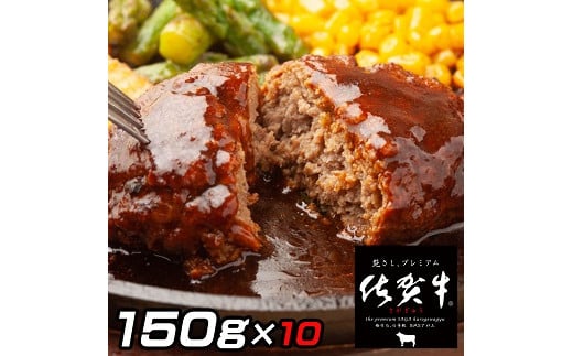 佐賀牛入りがばいハンバーグ10個：B160-011
