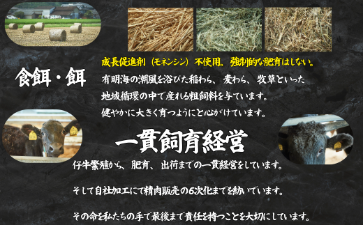 【定期便12回】佐賀牛 赤身ステーキ 300g：C136-007