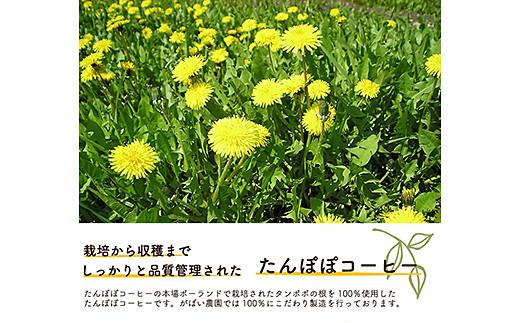 ãããœãœã³ãŒããŒïŒ3åã»ããïŒïŒB200-006