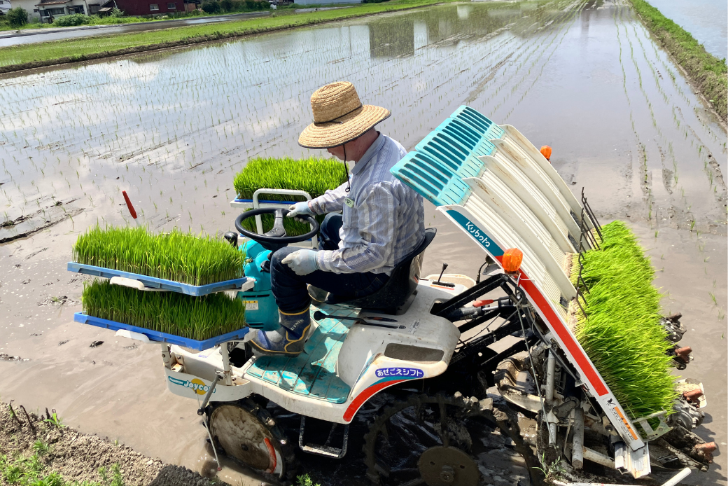 ãæ°ç±³ã什å7å¹Žç£ ãç±³ãã€ã¹ã¿ãŒãå§ããã ãã¡ããã®ãããã³ããã粟米 5kgïŒB165-012