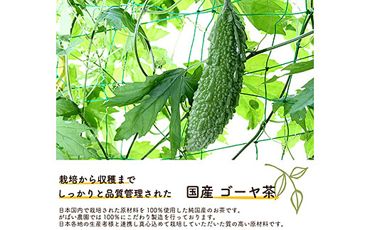国産 ゴーヤ茶：A095-020
