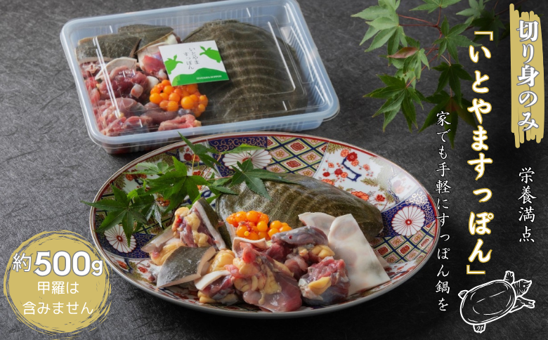 【切り身のみ】栄養満点の「いとやますっぽん」ですっぽん鍋を 500g 佐賀県産 スッポン 冷凍 鍋 カット済み 国産 簡単調理 美容 健康 コラーゲン 九州 佐賀県 佐賀市 ヤマト水産：B315-010