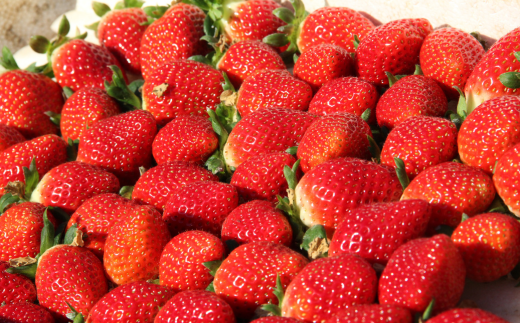 佐賀県産 いちごさん 240g×4パック：B145-012