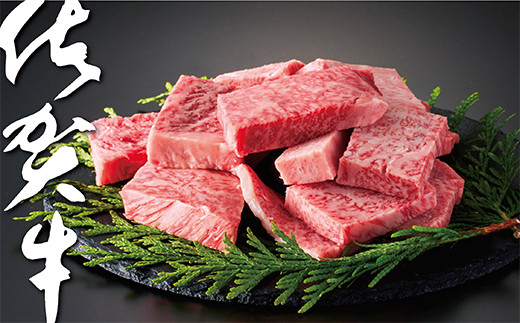 佐賀牛はしっこちゃん500：B160-029