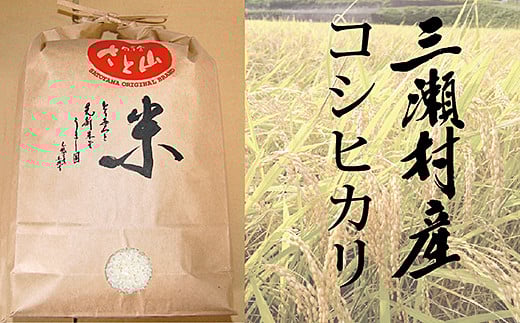 【定期便12回】三瀬村産「コシヒカリ」5kg×2袋 お米 白米 精米 ：C389-004