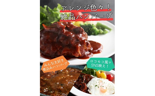 【偶数月定期便（年6回）】佐賀牛入りハンバーグ 5個：B580-003