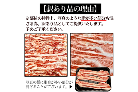 訳あり！贅沢！艶さし【A4～A5】佐賀牛ともばらしゃぶしゃぶすき焼き用 1000g（500g×2p）：B190-054