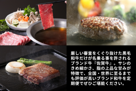 【定期便6回】佐賀牛セット 4.7kg：C200-045