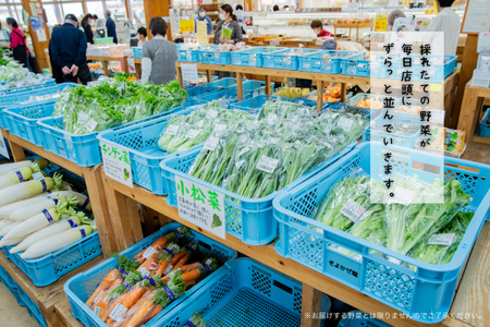 新鮮・季節の野菜詰め合わせ：B120-006