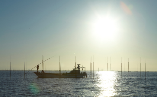 縲仙ョ壽悄萓ソシ4蝗橸シ1繝サ4繝サ7繝サ10譛育匱騾√大晄遭縺ソ菴占ウ縺ョ繧 辟シ縺ョ繧翫そ繝繝Bシ咤555-006