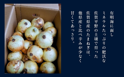 縲先悄髢馴剞螳壹台ス占ウ逵檎肇 譁ー縺溘∪縺ュ縺趣シ10kgシ会シ哂095-054