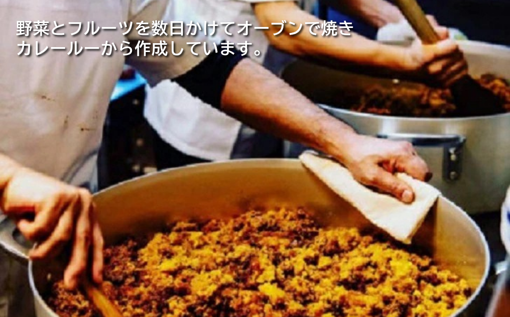 白山文雅カレー２種セット（ビーフ・チキン）：B120-071