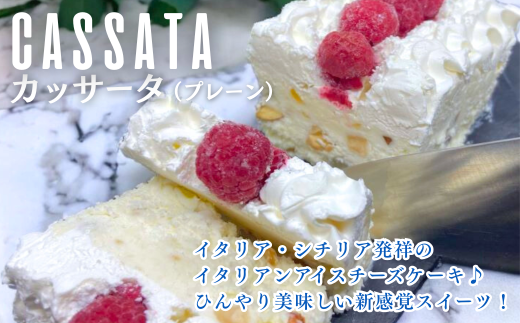 カッサータプレーン・おうちでカフェ気分♪３度楽しめる：A095-028