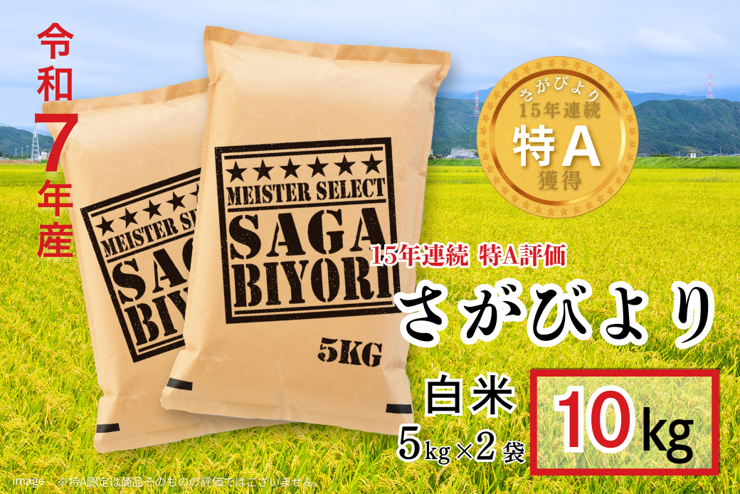 五つ星お米マイスターが厳選！【新米】令和7年産 佐賀県産 さがびより 白米 10kg（5kg×2袋）おこめ 米 ：B320-015