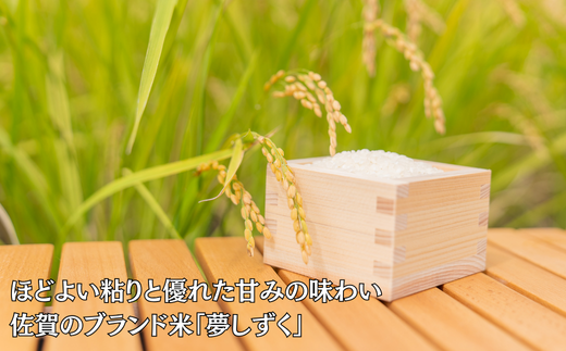 莉、蜥7蟷エ 菴占ウ逵檎肇螟「縺励★縺 逋ス邀ウ6kgシ咤170-037