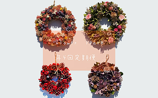 【定期便4回】ドライフラワーリース：B690-001