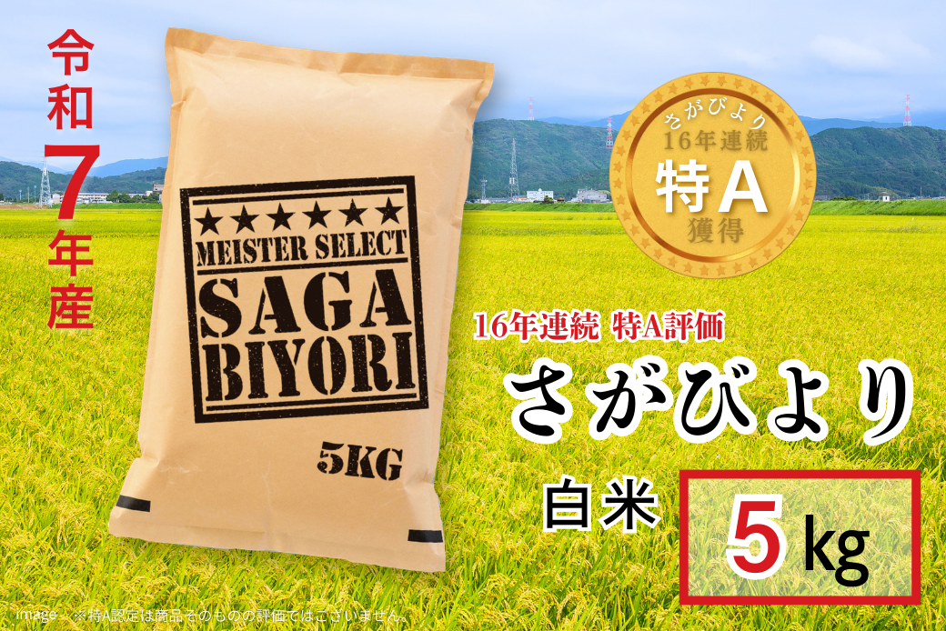 五つ星お米マイスターが厳選！令和7年産 佐賀県産 さがびより 白米 5kg おこめ 米 ：B175-017