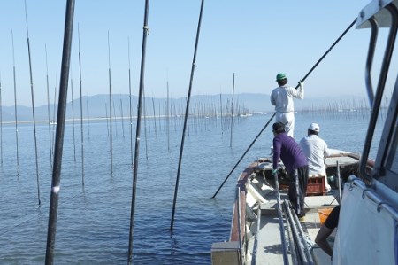 有明海一番　焼海苔（桐箱入）：B550-004