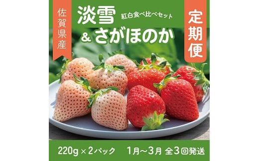 【定期便3回】佐賀県産 紅白いちご 食べ比べ 1~3月発送 淡雪 さがほのか フルーツ 果物 定期便 旬 苺 紅白 白いちご 九州 佐賀県 佐賀市 清瀬農園：B395-010
