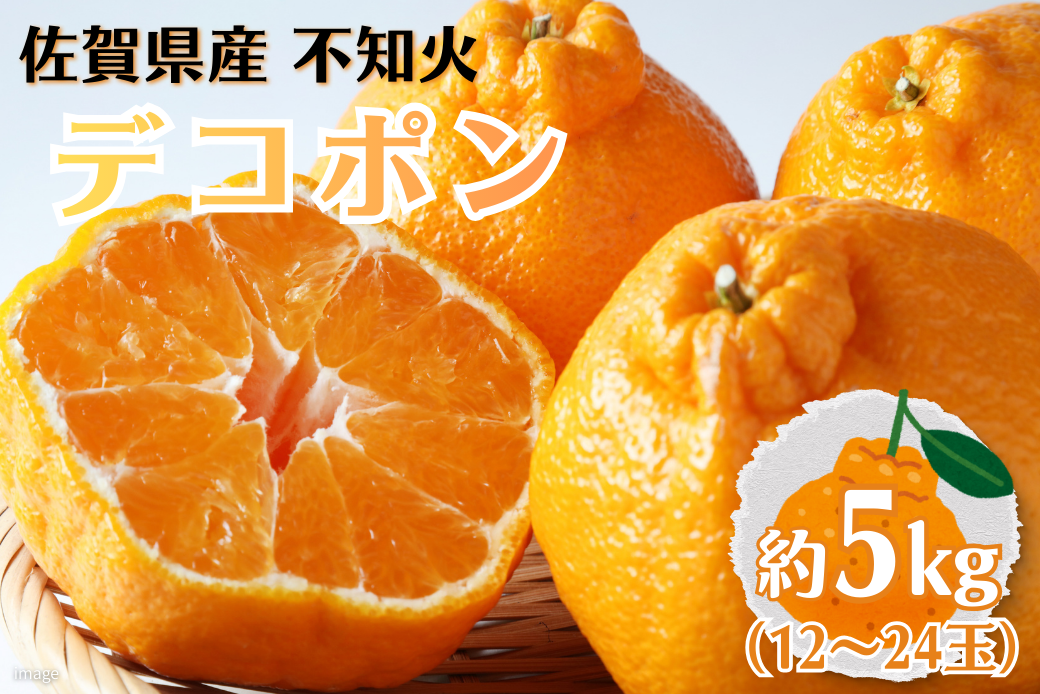 佐賀みかん デコポン【不知火】：B195-006