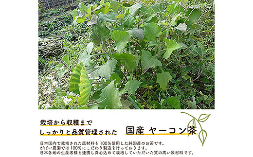 蝗ス逕」 繝、繝シ繧ウ繝ウ闌カシ哂085-020