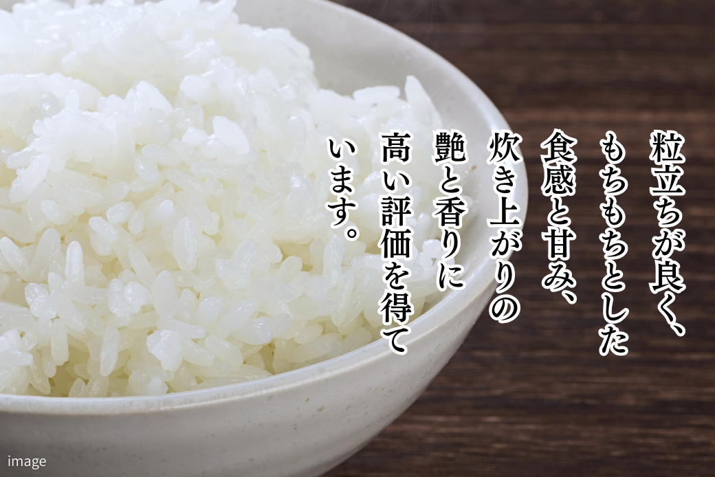 令和7年 佐賀県産「さがびより」10kg（5kg×2袋）：B220-049