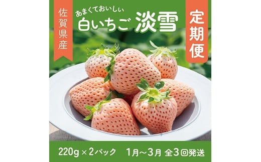 【定期便3回】希少価値 佐賀県産 いちご 淡雪 1~3月発送 フルーツ 果物 定期便 旬 苺 白いちご 九州 佐賀県 佐賀市 清瀬農園 ：B395-008