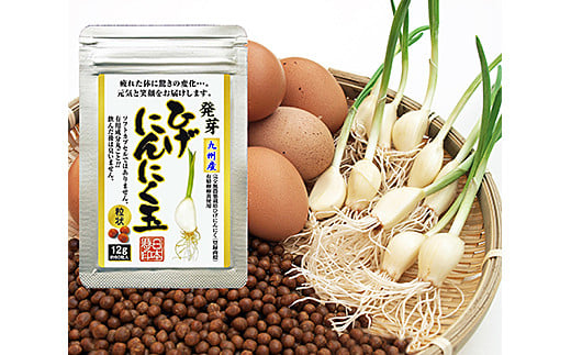 佐賀の昔ながらの手作りにんにく卵黄：A085-006