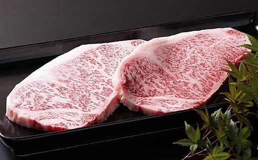 【全6回定期便】佐賀県産 牛豚鶏肉三昧12kgコース：C214-001