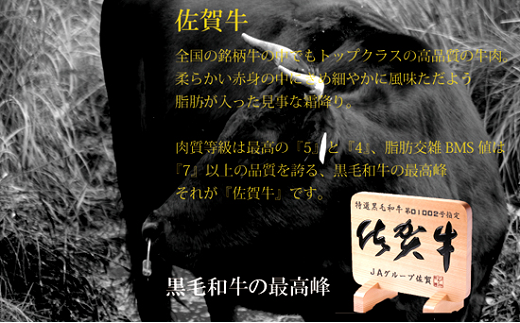 佐賀牛ローススライス500g：B345-005