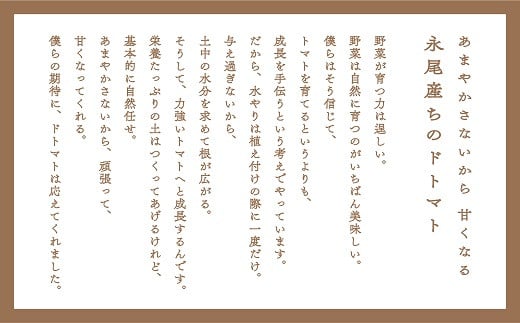 【人気】甘さとコクがド級！ドトマト1号 とまと 旬 野菜 産直 佐賀市：B140-010
