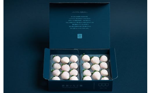 【定期便3回】佐賀県産 紅白いちご食べ比べ【2〜4月発送】：B395-005