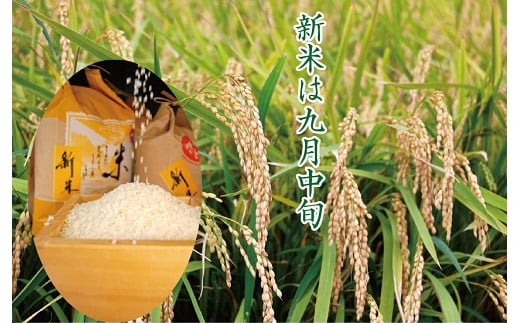 令和7年産　佐賀市三瀬村産「コシヒカリ」10kg（5kg×2袋）：B335-020