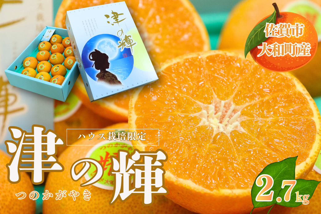 【12月～2月上旬発送】佐賀市大和町産みかん「津の輝」 温州みかん 佐賀みかん 贈答 ギフト：B150-076
