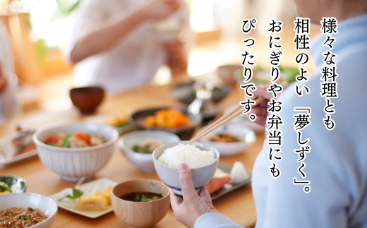 新米 令和7年 佐賀県産 特A米 食べ比べセット「さがびより」5kg「夢しずく」5kg：B240-028