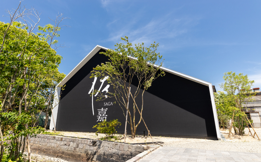 ãæ°ééå®ããäœåãSAGA-17幎-ïŒC102-007