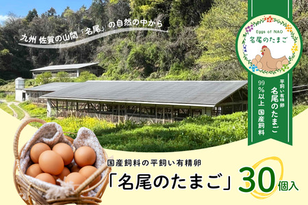 国産飼料の平飼い有精卵「名尾のたまご」30個入：B135-013