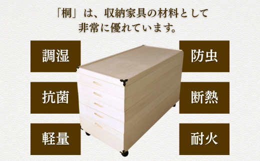 æ¡ããã ç·æ¡ã²ãªäººåœ¢åçŽã±ãŒã¹æ·±å1段 TS-1BLïŒB750-002