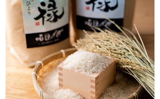 佐賀のお米食べ比べセットと佐賀のり3種：B255-009