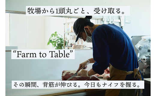 【牧場直送】佐賀牛 赤身ブロック肉 500g：B150-065