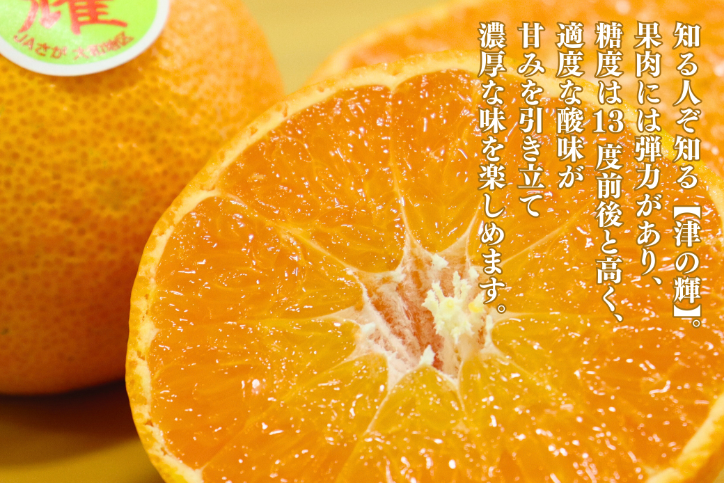 【12月～2月上旬発送】佐賀市大和町産みかん「津の輝」 温州みかん 佐賀みかん 贈答 ギフト：B150-076