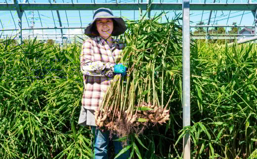 『初恋ほのか』甘酢漬け生姜＆佐賀牛しぐれ煮＆佃煮3点セット：B190-030