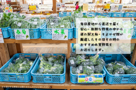 新鮮・季節の野菜詰め合わせ：B120-006