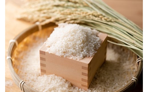 äœè³ç¹Aç±³ããã³ãããšäœè³ã®ã2çš®ïŒB190-040