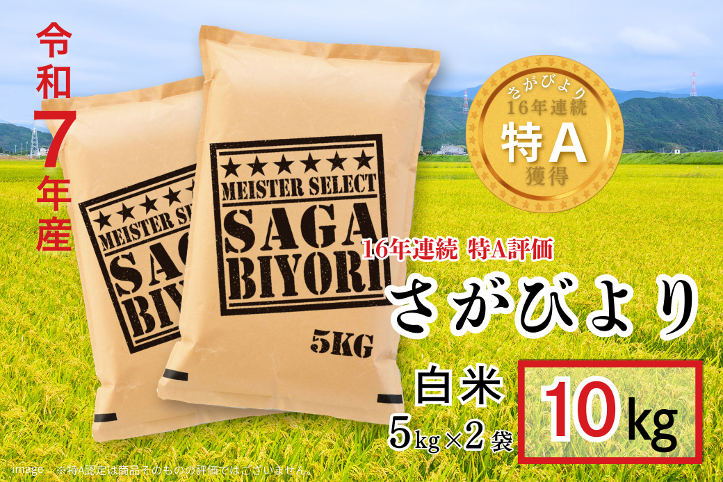 五つ星お米マイスターが厳選！令和7年産 佐賀県産 さがびより 白米 10kg（5kg×2袋）おこめ 米 ：B320-015