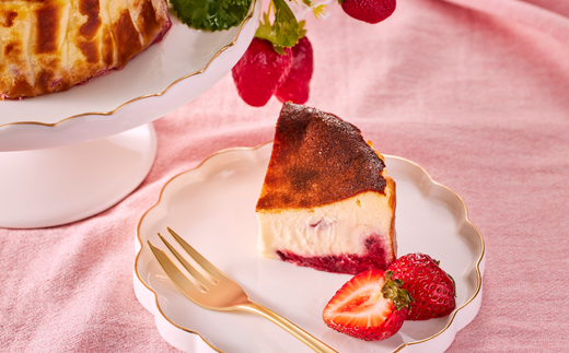 ダブルベリーのバスクチーズケーキ：B110-045